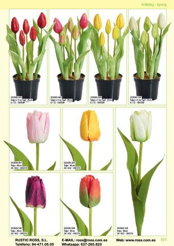 Milanuncios - Maceta tulipanes oferta