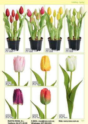 Macetas de tulipanes Plantas de segunda mano baratas | Milanuncios