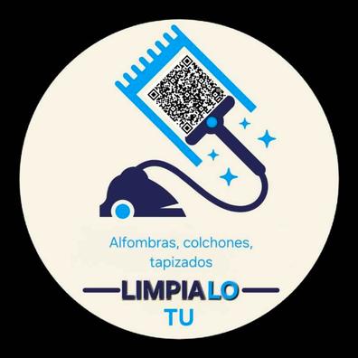 LIMPIADOR PARA ALFOMBRAS LIQUIDO DETERGENTE KARCHER RM 519 (COMPATIBLE CON  SERIE SE 4002)