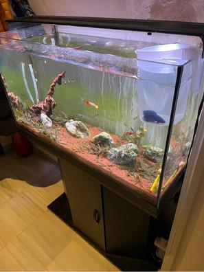 Calentador acuario Compra venta de peces, acuarios, peceras y accesorios en  Sevilla Provincia