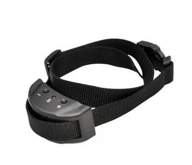 Perros agua en adopción accesorios de mascota de segunda mano baratos | Milanuncios