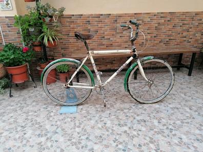 Bicicleta estatica best sale torrot antigua