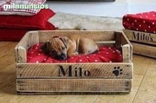 Cama para discount perro con palets