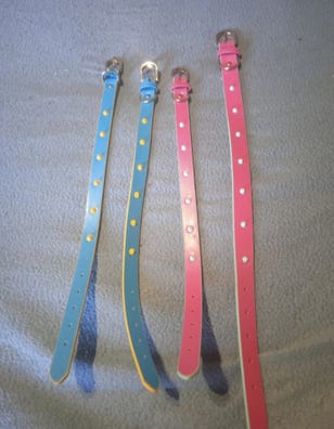 para perros Mascotas en adopción y de mascota de mano baratos |