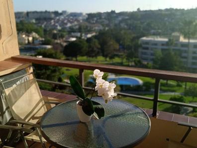 Ortodoxo podar Gracia Fuente aloha Pisos en alquiler en Marbella. Alquiler de pisos baratos |  Milanuncios