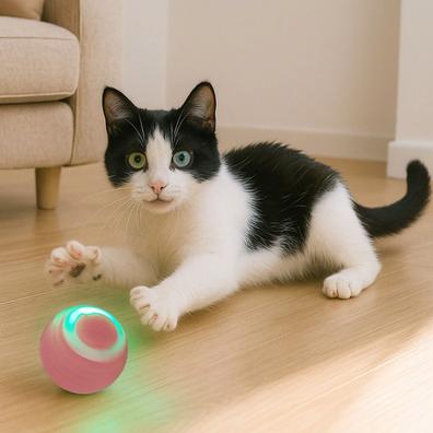 Gato interactivo de segunda mano Milanuncios