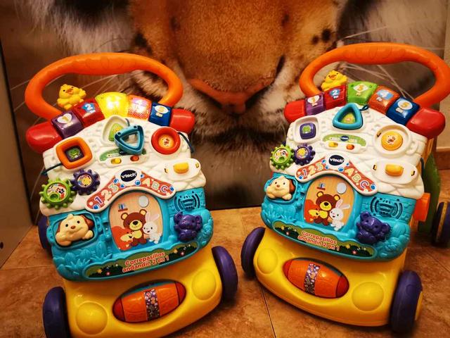 Vtech - Correpasillos Andandin 2 en 1, Vtech