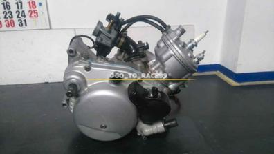 Bomba de aceite ajustable para motor Minarelli horizontal 50cc Allpro