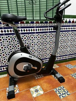 Bicicleta estatica bh online sidney magnetic