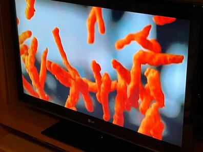 Fire tv stick 4k max reacondicionado Televisores de segunda mano baratos