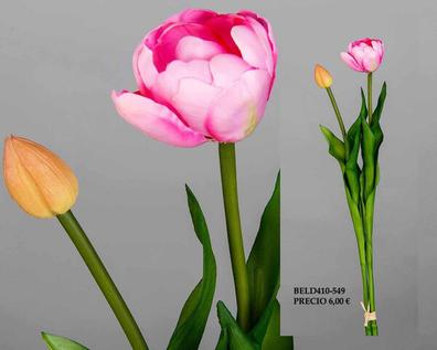 Vendo tulipanes negros aterciopelados Plantas de segunda mano baratas |  Milanuncios