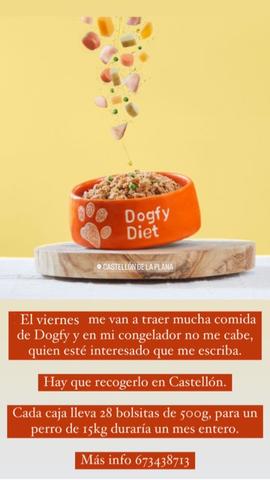 Juegos en casa para perros - Comida natural cocinada para perros y gatos 