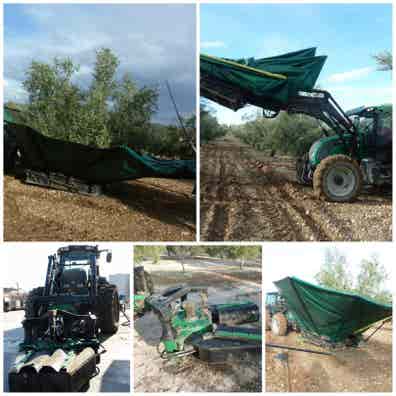 Maquinaria Agrícola paraguas olivos de segunda mano y ocasión Milanuncios