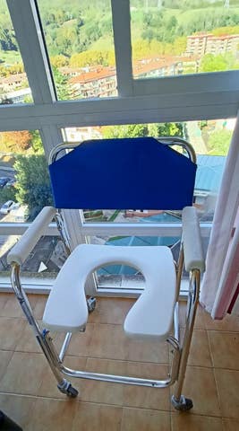 Milanuncios - Silla de baño y aseo con ruedas. 70€