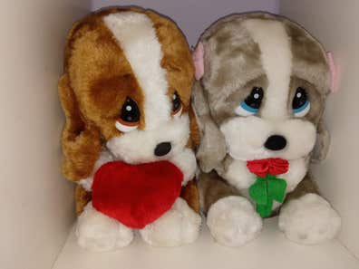 Sad sam | Milanuncios