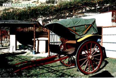 Enganches caballos Carruajesse segunda . Compra venta de de caballos | Milanuncios