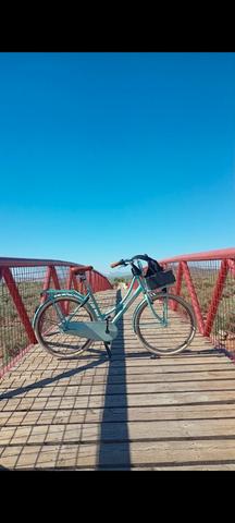 Milanuncios Bicicleta paseo Popal 29