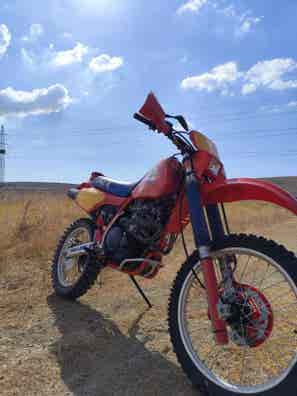 HONDA - XR 600 R