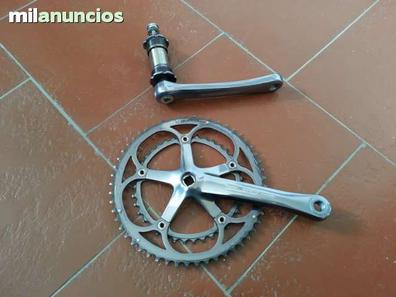 Plato best sale campagnolo 53