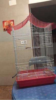 ninfa Mascotas adopción y de mascota de segunda mano baratos en Córdoba | Milanuncios