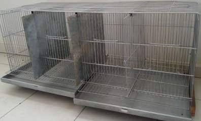 Jaulas cria canarios Pájaros. Compra venta de pájaros, y accesorios