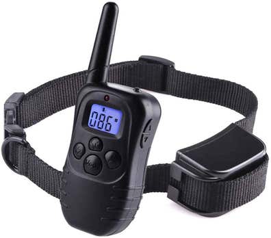 Collar adiestramiento perros usados. Anuncios para comprar y vender de segunda mano |