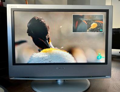 TV 32 con aparato para ver canales de segunda mano por 100 EUR en