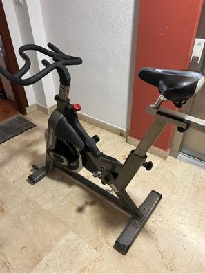 Bicicleta Spinning Indoor Profesional 18kg Disco + Alfombra