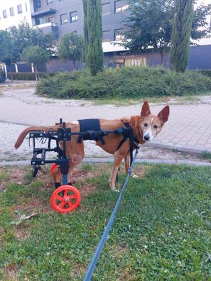 💡Como hacer SILLA DE RUEDAS para PERROS 🐶 MASCOTAS/ dog wheelchair 