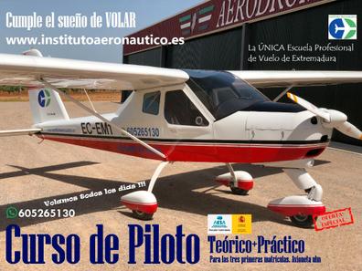 Aerodactyl Vastro de segunda mano por 15 EUR en Madrid en WALLAPOP