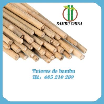 Milanuncios - Cañas de Bambú para decoración