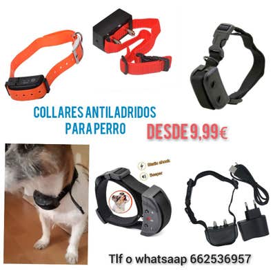 Mascotas en adopción y accesorios de de segunda mano baratos en Barcelona | Milanuncios