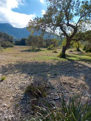 Terreno para caravana Parccelas en venta y alquiler en Baleares