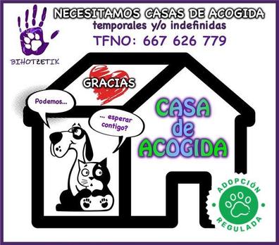 Necesitamos casas de acogida en madrid | Milanuncios