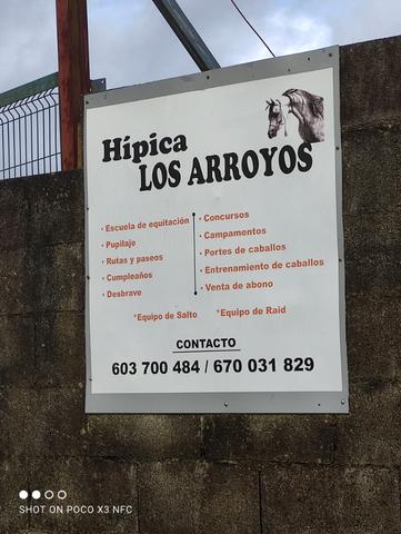 Milanuncios - Club hÍpico los arroyos