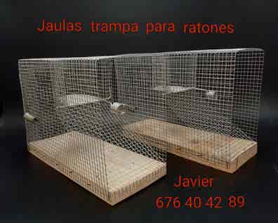 Jaulas para ratas Mascotas adopción y accesorios mascota de segunda mano Milanuncios