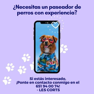 Busco paseador perros Ofertas de empleo en Barcelona. Buscar y encontrar trabajo Milanuncios
