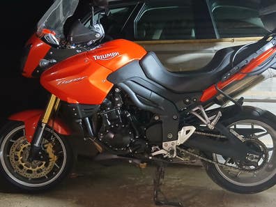 Triumph Tiger