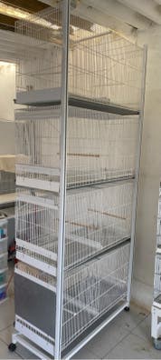 Dival en venta | Milanuncios