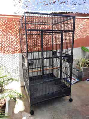 Jaulas grandes loros Mascotas y accesorios de mascota de segunda mano baratos |