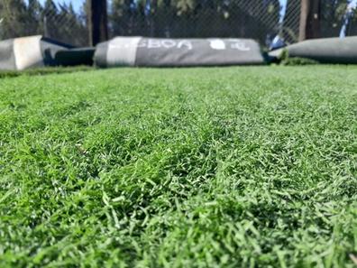 Aspirador césped artificial, Realgrass