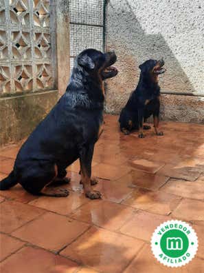 Viviendas en alquiler en Tenerife Provincia. Alquiler de viviendas ...