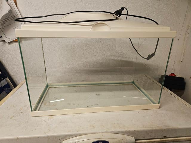 Milanuncios - Acuario 62l + complementos
