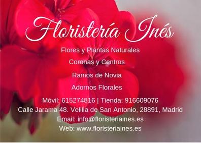 Floristeria Muebles y accesorios de jardinería de segunda mano baratos |  Milanuncios