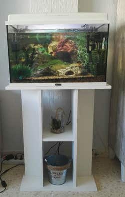 Acuarios en Compra venta peces, acuarios, peceras y accesorios en Cádiz | Milanuncios