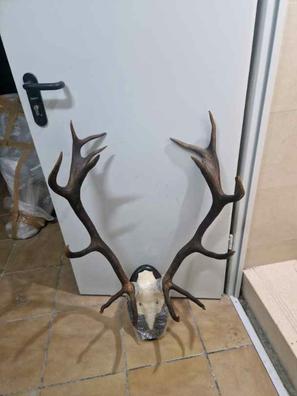 Percheros de cuernos de venado cheap