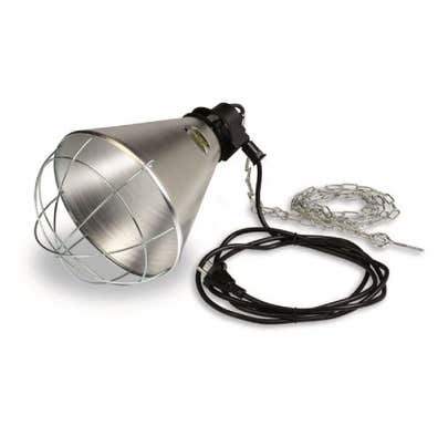 Bombilla pollito | Milanuncios