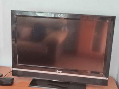 Televisor 14 pulgadas para manitas de segunda mano por 15 EUR en León en  WALLAPOP