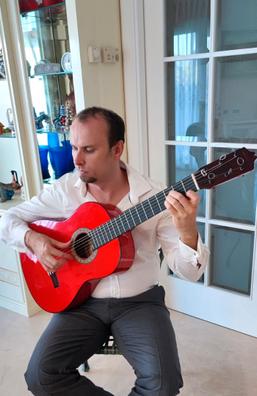 vida Haiku Notorio Guitarra flamenca Profesores y clases particulares en Murcia | Milanuncios