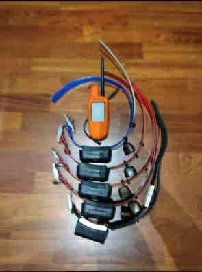 Collares Artículos de caza segunda baratos | Milanuncios